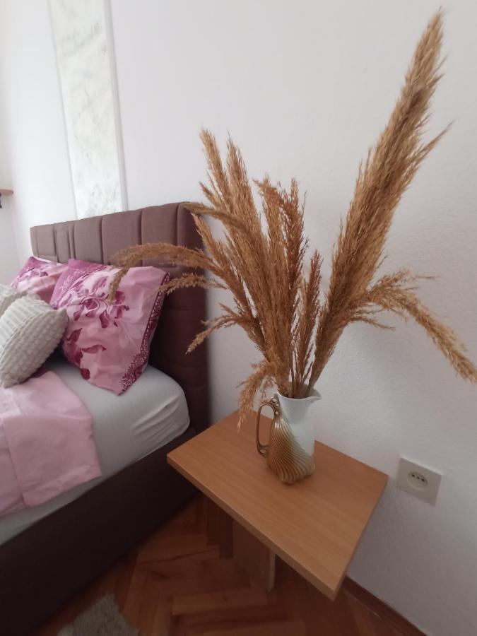 Apartman Maja تريبينيي المظهر الخارجي الصورة